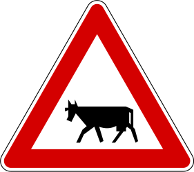 traffic sign